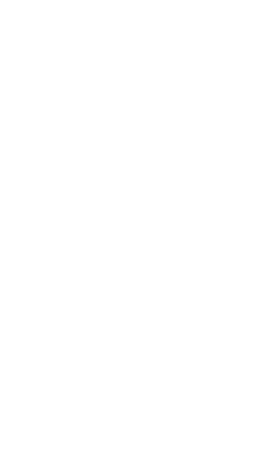 純国産 生からすみ